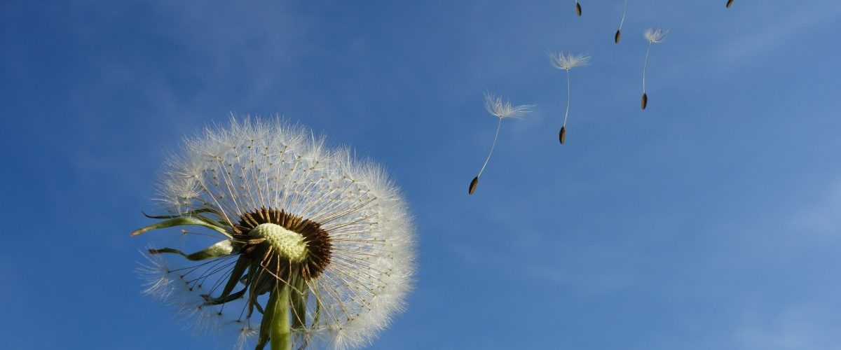 Mitglied werden und etwas bewegen Mitglied werden und etwas bewegen